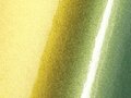AD_Chip_SWF_CF_Gl_Fresh_Spring_Gold_Silver
