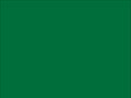 OR_Chip_970RA-612G_police_green