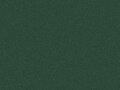 OR_Chip_970RA-677G_fir_tree_green_metallic