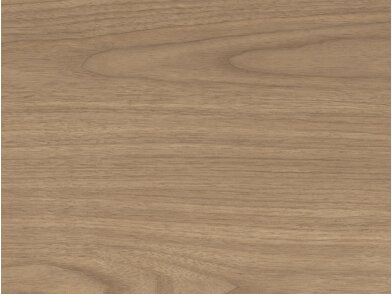 BQ_PC_XP118-01-Optik