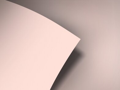 BQ_PC_S217-01-Optik
