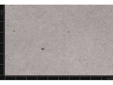 BQ_PC_NS401-23-Detail