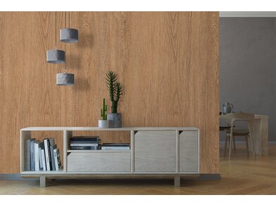 BQ_PC_PZ901-07-Wand_Day