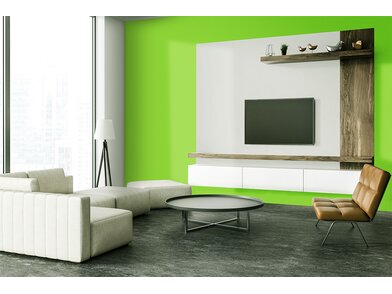 BQ_PC_S189-17-Wohnzimmerwand