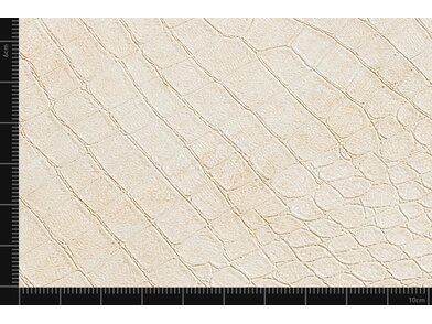 BQ_PC_TNS14-23-Detail