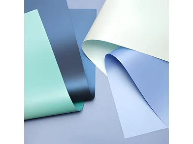std4_2.e9f39dd1