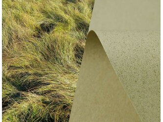sh grass