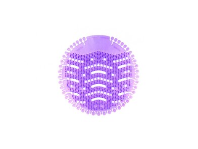 Basic - Lavender Dream 1