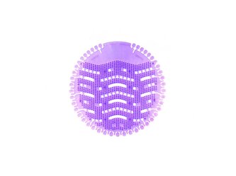 Basic - Lavender Dream 1