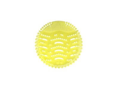 Basic - Lemon Drop 1