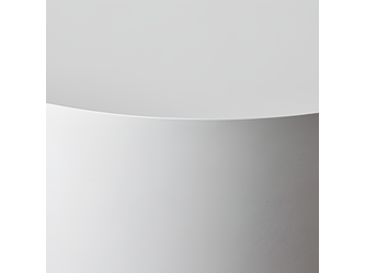 munken-lynx-r_upscayl_5x_upscayl-standard-4x