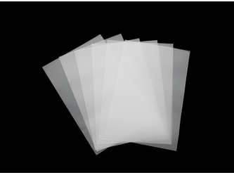 paus_upscayl_2x_upscayl-standard-4x