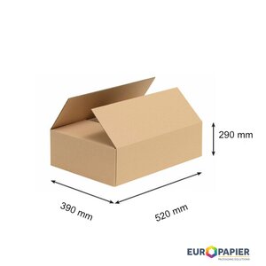 Troslojna kartonska škatla 520X390X290