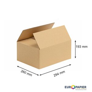Petslojna kartonska škatla 294x260x193mm