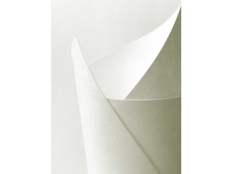 Lahnur11a-500x667