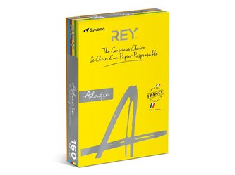 REY Adagio MIxed pack _ intensive colours