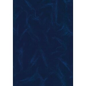 Istrana 26206 modra
